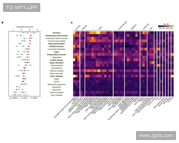 深圳飞盘队技术对比分析揭示团队优势与发展潜力 深圳飞盘队技术对比分析揭示团队优势与发展潜力